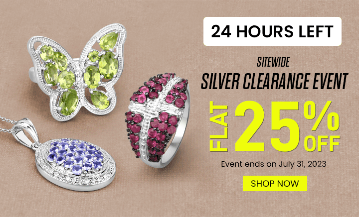 Sitewide Silver Clearance Sales Event! 25% Off